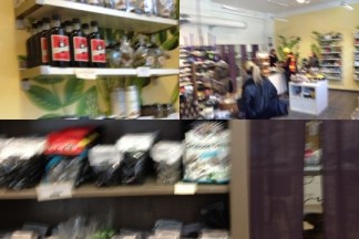 20120404-123302.jpg